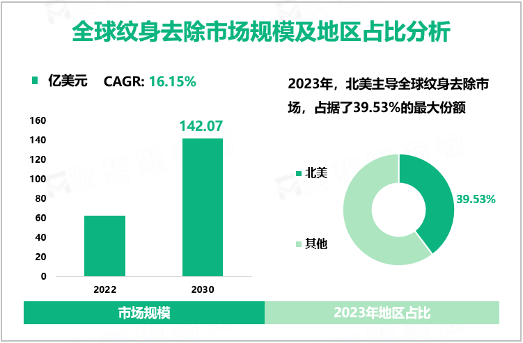 全球纹身去除市场规模及地区占比分析