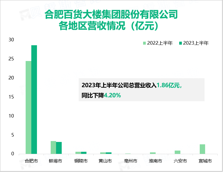 合肥百货大楼集团股份有限公司 各地区营收情况（亿元）