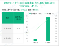 新能泰山深耕产业园开发与综合资产运营，其营收在2024年上半年为4.63亿元