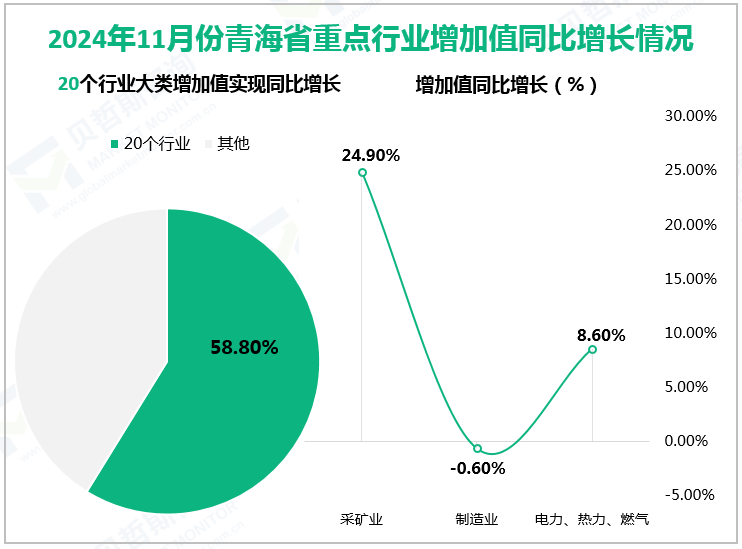 2024年1-11月青海省固定资产投资同比增长情况