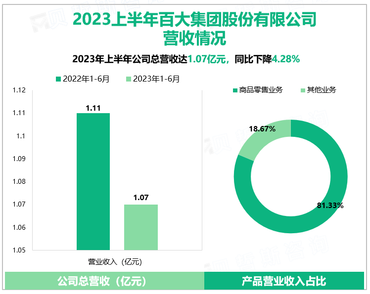 2023上半年百大集团股份有限公司营收情况