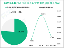 2025年1-10月永州市规模以上工业增加值同比增长9.1%，比全省高3.4%
