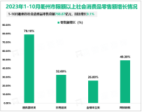 2023年1-10月衢州市社会消费品零售总额768.87亿元，同比增长9.1%