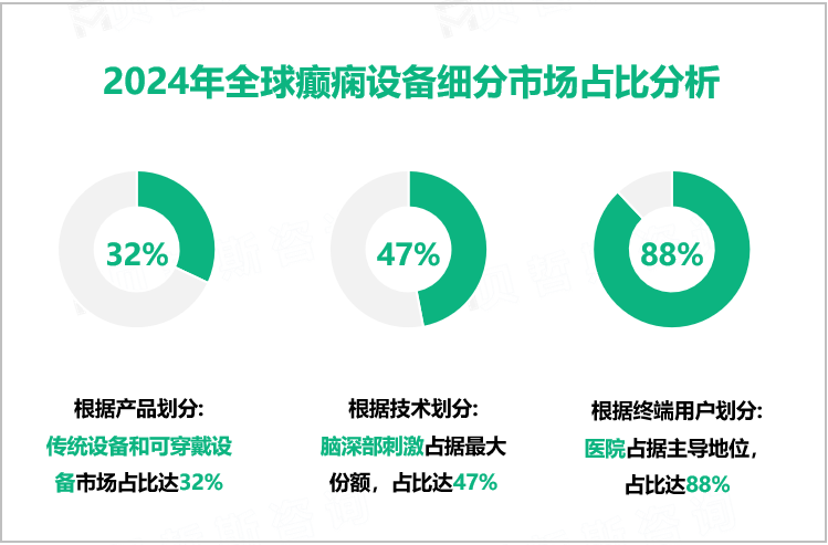 2024年全球癫痫设备细分市场占比分析