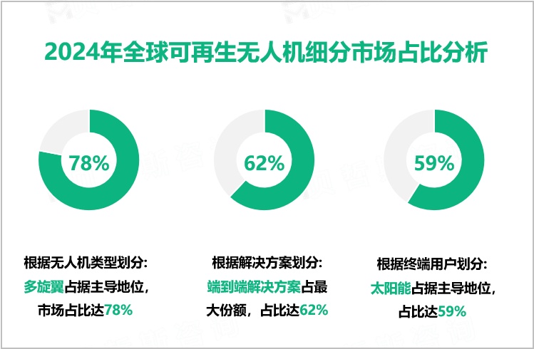 2024年全球可再生无人机细分市场占比分析