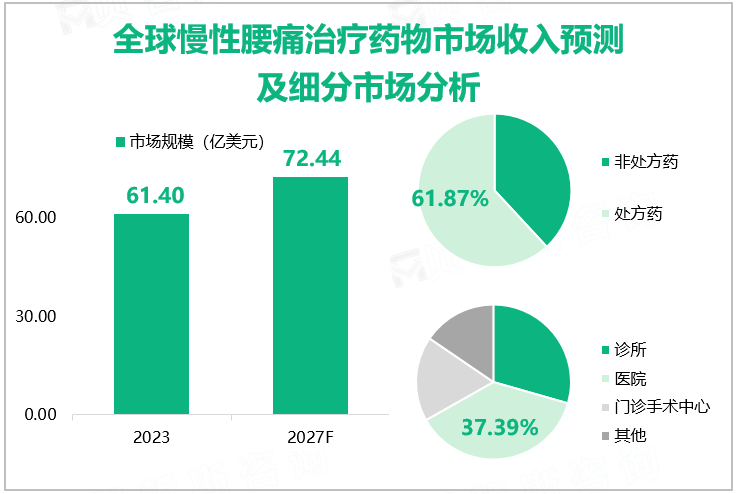 全球慢性腰痛治疗药物市场收入预测及细分市场分析