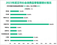 2023年武汉市实现社会消费品零售总额7531.9亿元，比上年增长8.6%
