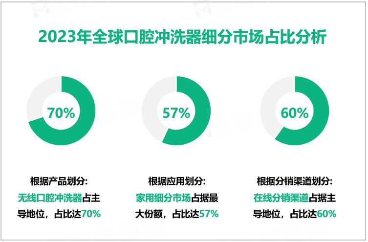 2023年全球口腔冲洗器细分市场占比分析