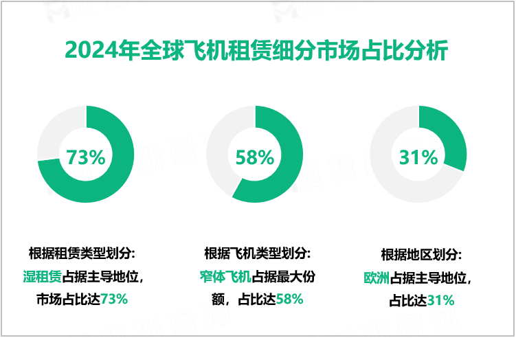 2024年全球飞机租赁细分市场占比分析