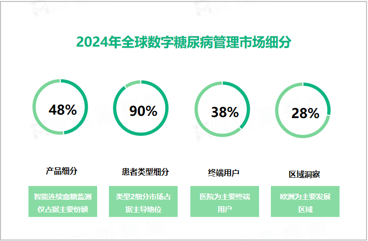 2024年全球数字糖尿病管理市场细分