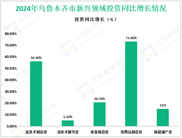 2024年乌鲁木齐市新兴领域投资同比增长情况