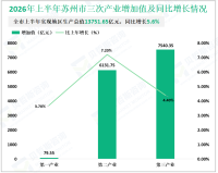 2026年上半年苏州市实现地区生产总值13751.65亿元，同比增长5.6%