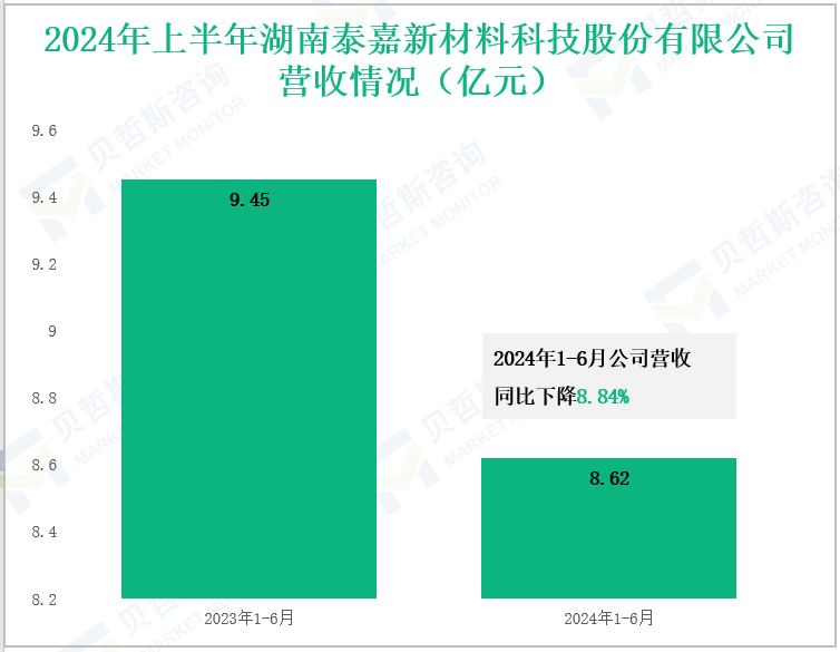 2024年上半年湖南泰嘉新材料科技股份有限公司营收情况(亿元)