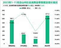 2023年1-11月凉山州实现社会消费品零售总额793.0亿元，同比增长11.4%