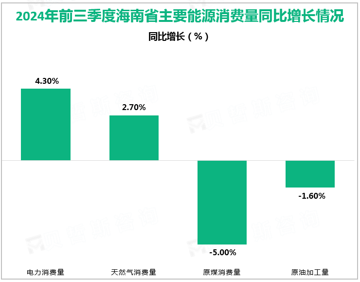 2024年前三季度海南省主要能源消费量同比增长情况