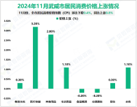 2024年1-11月武威市限额以上社会消费品零售额总额56.7亿元，同比增长4.5%