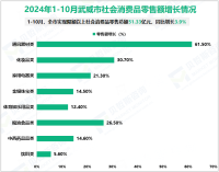 2024年1-10月武威市固定资产投资同比增长7.2%