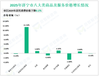 2025年济宁市社会消费品零售总额3233.6亿元，同比增长6.2%