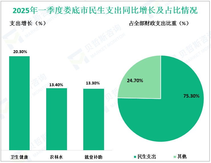 2025年一季度娄底市民生支出同比增长及占比情况