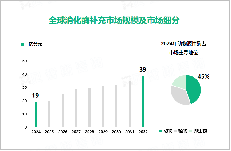 全球消化酶补充市场规模及市场细分