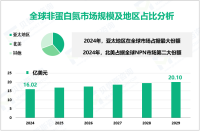 2024年全球非蛋白氮市场规模为16.02亿美元，亚太地区占比最大