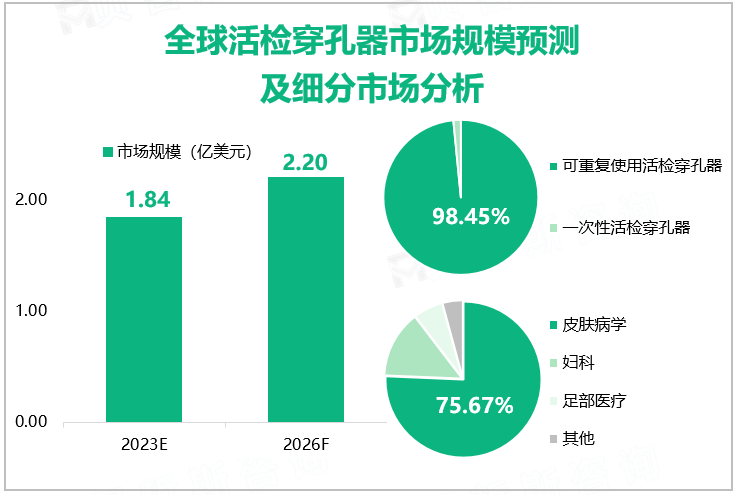 全球活检穿孔器市场规模预测及细分市场分析