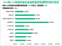 2024年1-10月湖北省社会消费品零售总额1.967万亿元，增长5.0%