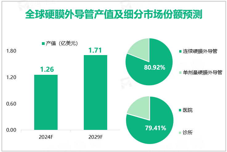 全球硬膜外导管产值及细分市场份额预测