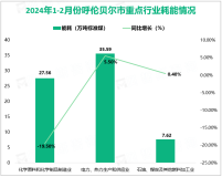 2024年1-2月份呼伦贝尔市规模以上工业企业能耗96.71万吨标准煤，同比下降4.6%