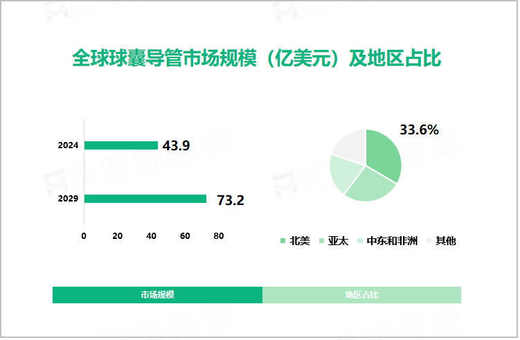 全球球囊导管市场规模（亿美元）及地区占比