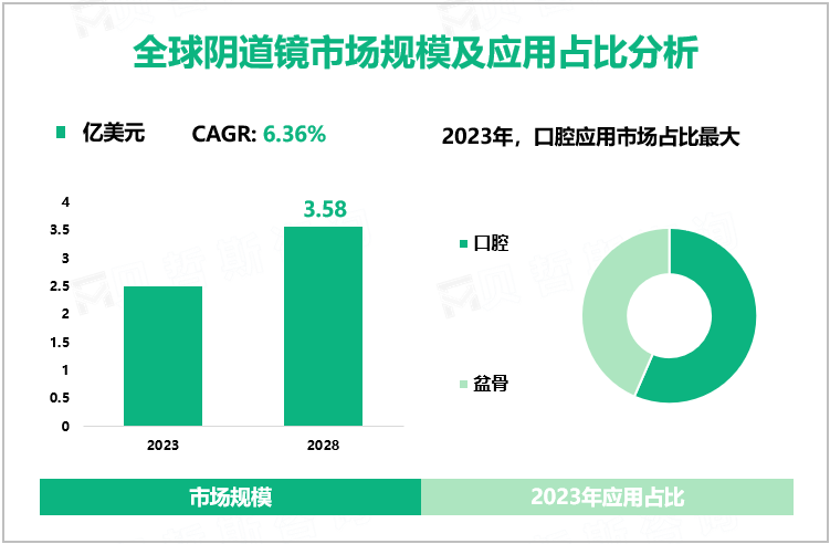 全球阴道镜市场规模及应用占比分析