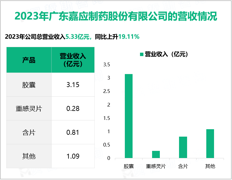 2023年广东嘉应制药股份有限公司的营收情况