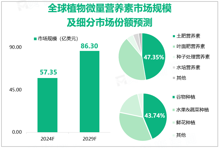 全球植物微量营养素市场规模及细分市场份额预测