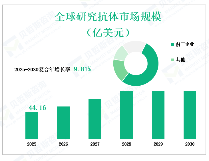 全球研究抗体市场规模 （亿美元）