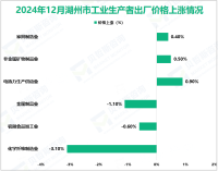 2024年12月湖州市工业生产者出厂价格（PPI）环比下降0.1%