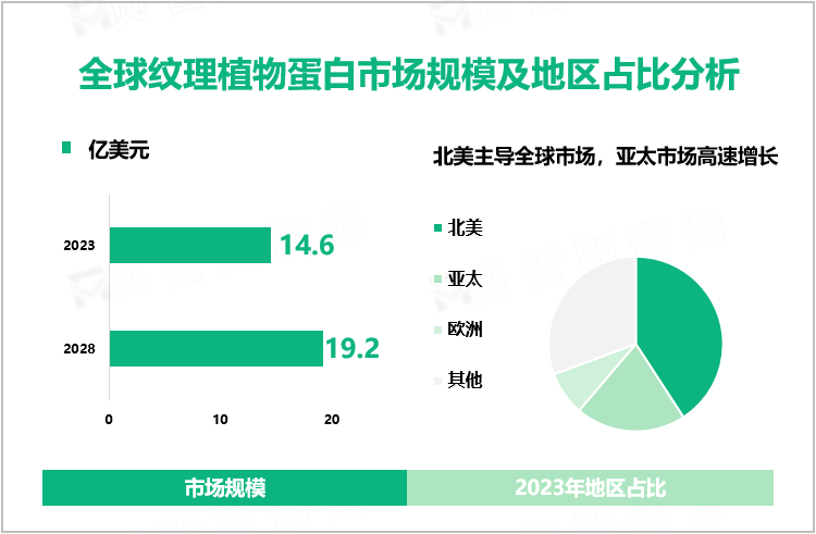 全球纹理植物蛋白市场规模及地区占比分析