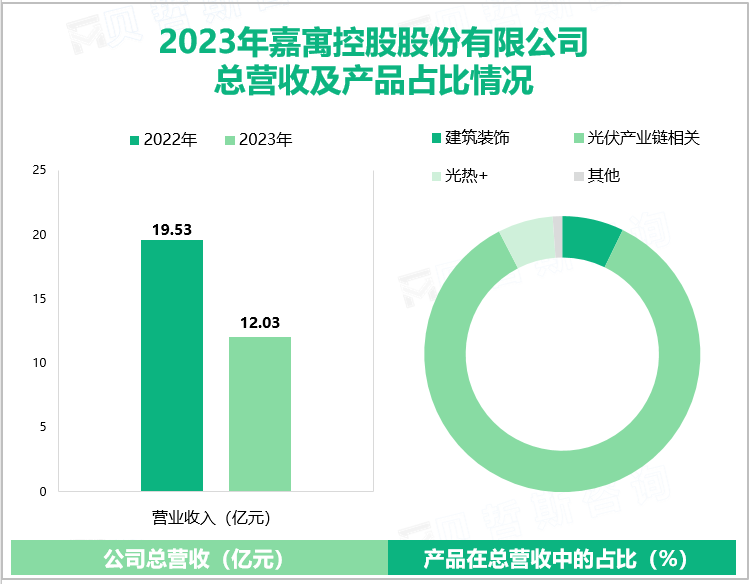 2023年嘉控股股份有限公司总营收及产品占比情况