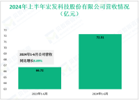 宏发科技专注于继电器产品研发领域，其2024上半年营收为2.7亿元