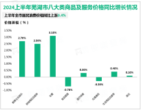 2024上半年芜湖市实现全社会消费品零售总额1071.9亿元，同比增长3.2%