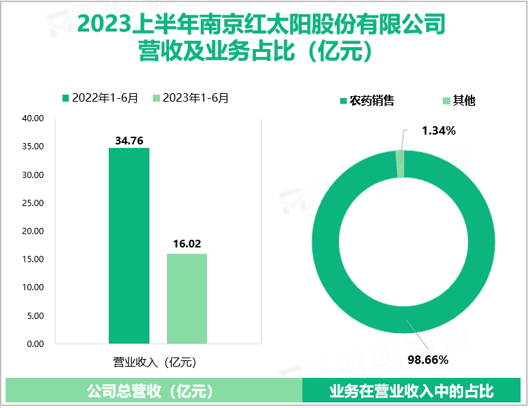 2023上半年南京红太阳股份有限公司 营收及业务占比（亿元）