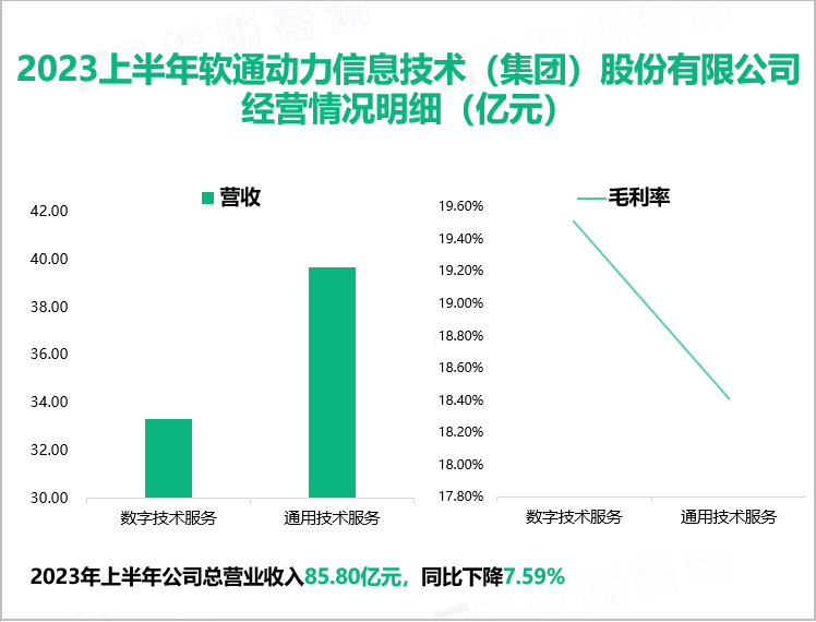 2023上半年软通动力信息技术（集团）股份有限公司经营情况明细（亿元）