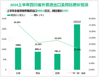 2024上半年四川省货物贸易进出口4906.6亿元，同比增长8.9%