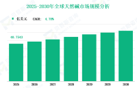 2025 年至 2030 年全球天然碱市场收入及按类型、应用、地区和参与者划分的份额洞察