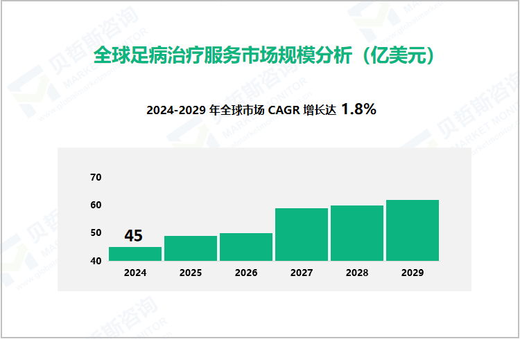 全球足病治疗服务市场规模分析（亿美元） 