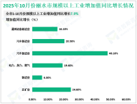 2025年10月份丽水市规模以上工业增加值同比增长7.9%
