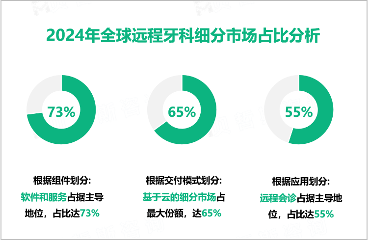 2024年全球远程牙科细分市场占比分析