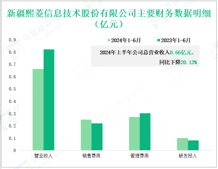 新疆熙菱信息技术股份有限公司主要财务数据明细(亿元)