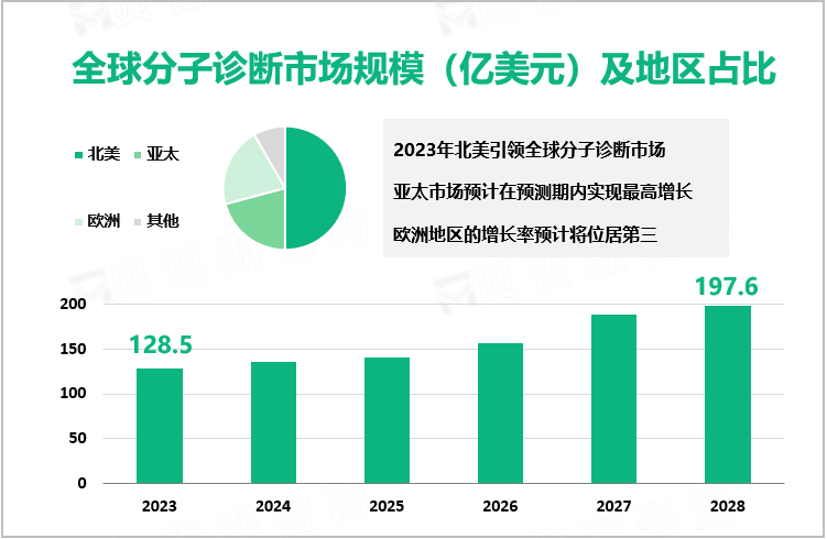 全球分子诊断市场规模（亿美元）及地区占比