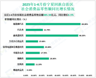 2025年1-4月份宁夏回族自治区固定资产投资同比增长13.5%