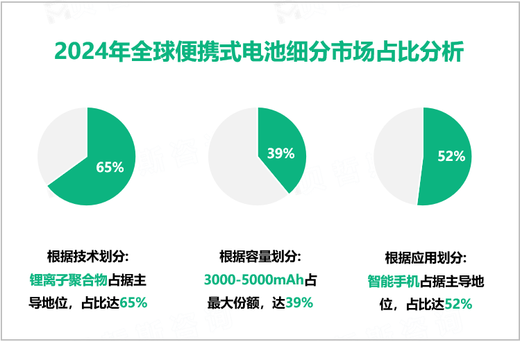 2024年全球便携式电池细分市场占比分析